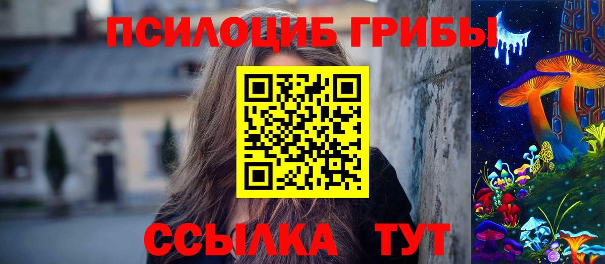 Псилоцибиновые грибы мицелий Миасс